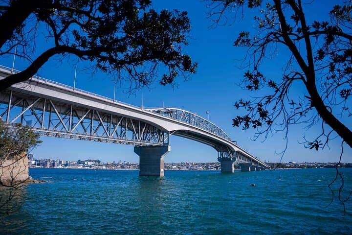 Auckland Private Full-Day Attractions Tour & Museums — Best of Auckland in One Day photo 3