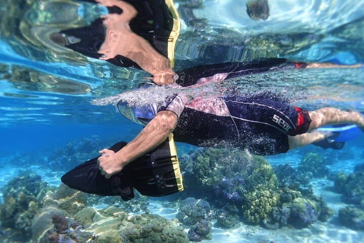 Sea Scooter Snorkel in Moorea: Reef Adventure at Temae & Stingray City photo 3