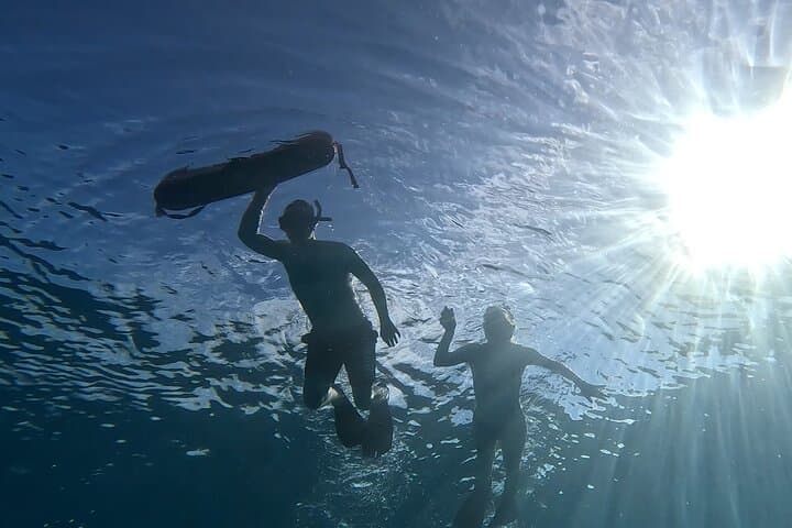 Private Snorkeling Cruise to Turtle Canyon in Waikiki photo 6