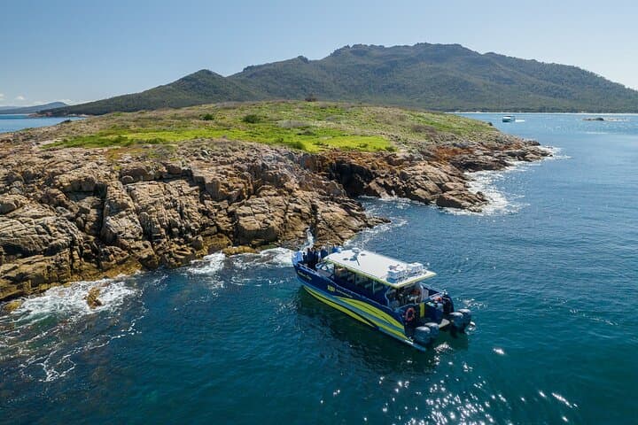 Wineglass Bay Shared Cruise and Hazards Beach Walk — Freycinet Aqua Express photo 6