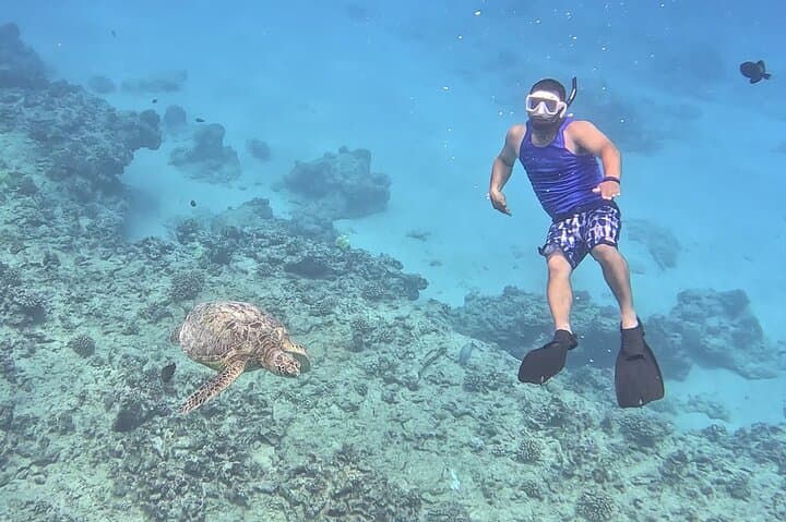 Private Snorkeling Cruise to Turtle Canyon in Waikiki photo 3
