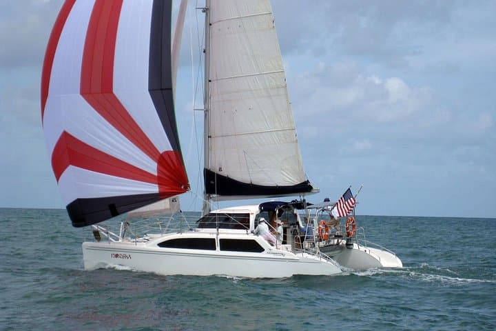 Sail Waikiki: Epic 34 Catamaran Snorkel Cruise with Diamond Head Views photo 3