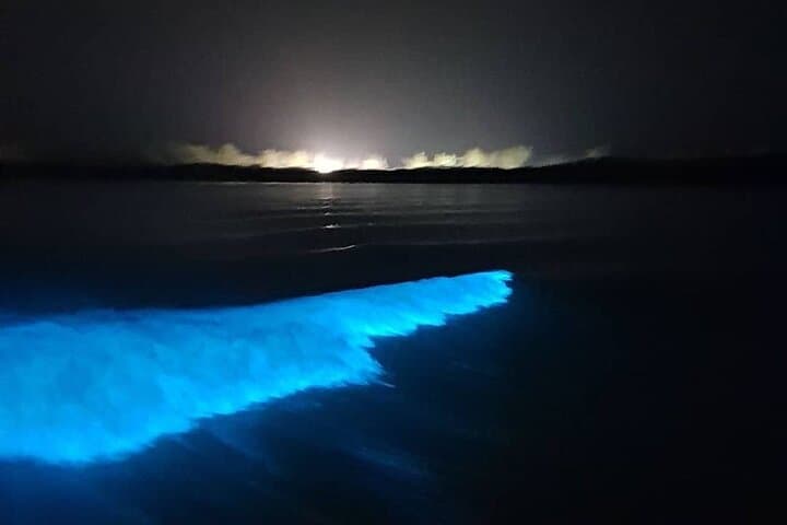 Three-Day Negril Sunset Cruise, Bamboo Rafting & Luminous Lagoon Experience photo 4