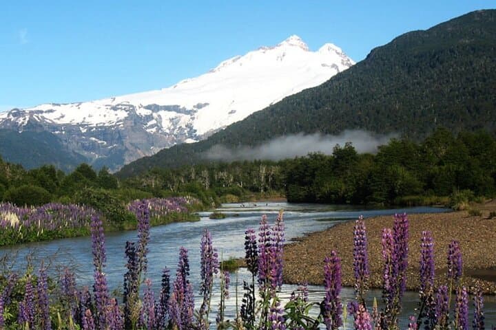 Cerro Tronador & Ventisquero Negro Day Trip from Bariloche — Manso Glacier Adventure photo 6