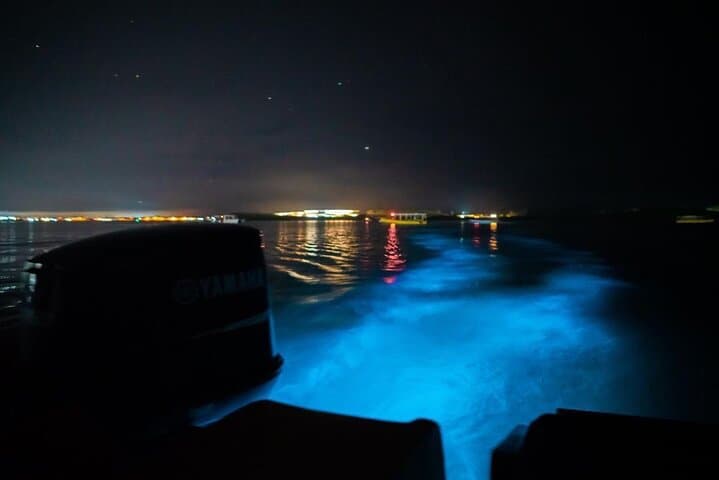 Three-Day Negril Sunset Cruise, Bamboo Rafting & Luminous Lagoon Experience photo 6