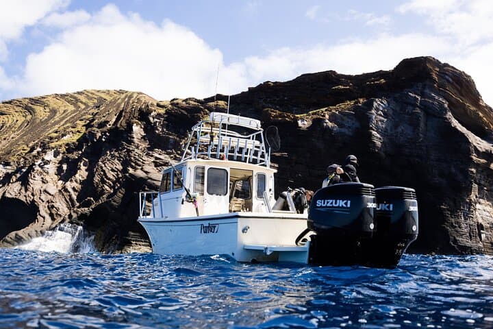 Private Niihau Scenic Snorkel from Waimea — Lehua Crater, Monk Seals & Manta Rays photo 3