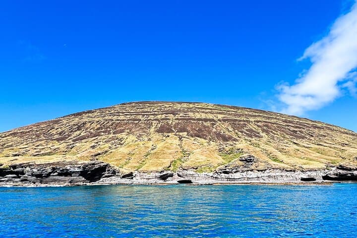 Private Niihau Scenic Snorkel from Waimea — Lehua Crater, Monk Seals & Manta Rays photo 6