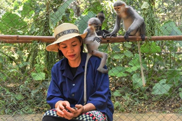 Cuc Phuong National Park Day Trip from Tam Coc: Primate Rescue, Ancient Trees & Forest Trails photo 2