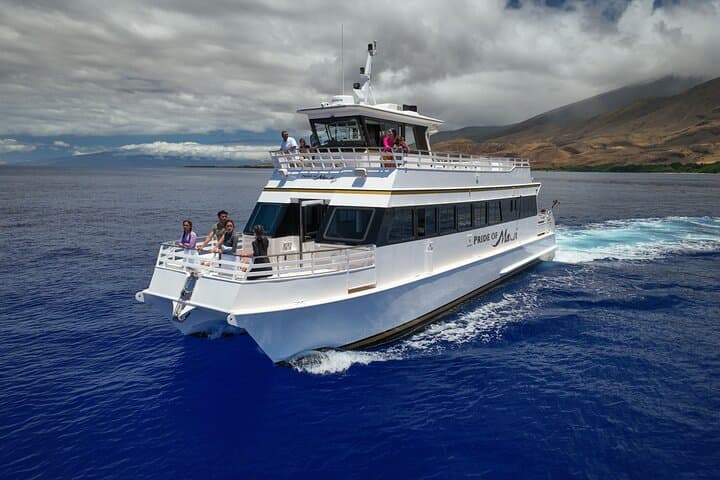 Maui Whale Watch and Turtles Snorkel Cruise from Maʻalaea Harbor photo 4