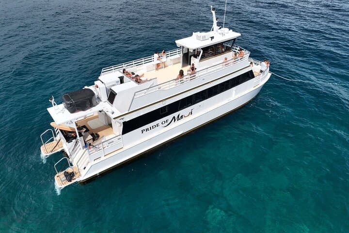 Exceptional Maui Whale Watch: Luxury Maalaea Catamaran Experience photo 4