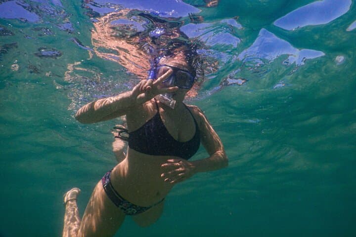 Private Snorkeling Tour in Sydney's Bronte-Coogee Marine Reserve photo 4
