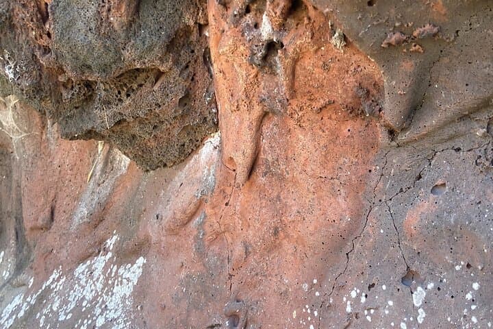 Mount Eccles Volcano Guided Geology Tour at Budj Bim National Park photo 5
