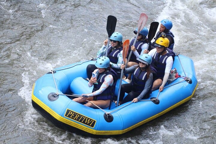Bali Ayung River Rafting and Jungle Swing: All-Inclusive Ubud Adventure