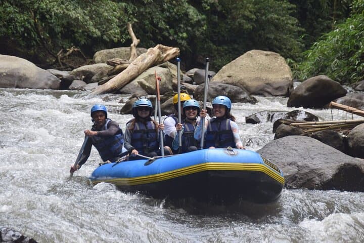 Bali Ayung River Rafting and Jungle Swing: All-Inclusive Ubud Adventure photo 3