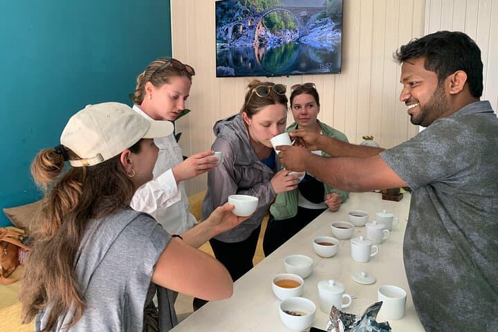 Ella Ceylon Tea Plantation Tour: Art, Science & Tasting in the Hill Country photo 6