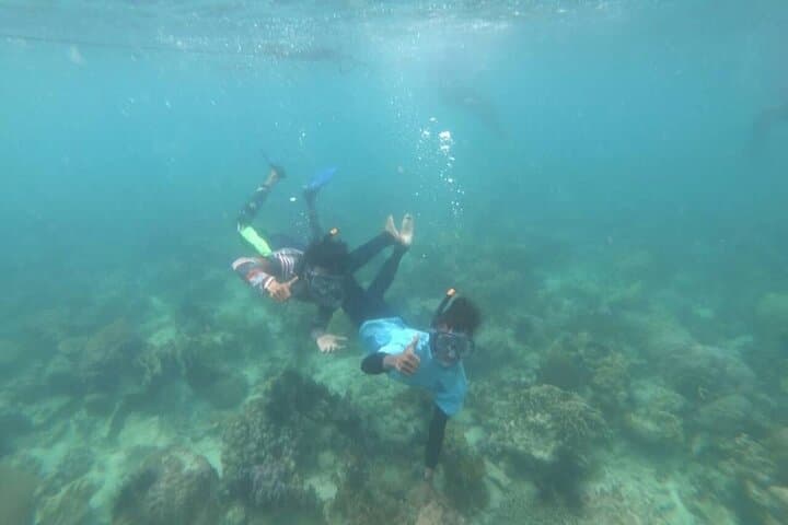 Private Batam Snorkeling, Canoe & Mangrove Adventure from Singapore