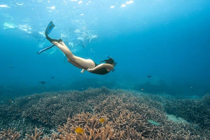 Nusa Penida Day Trip: Snorkel with Mantas and Explore West Coast Viewpoints photo 3