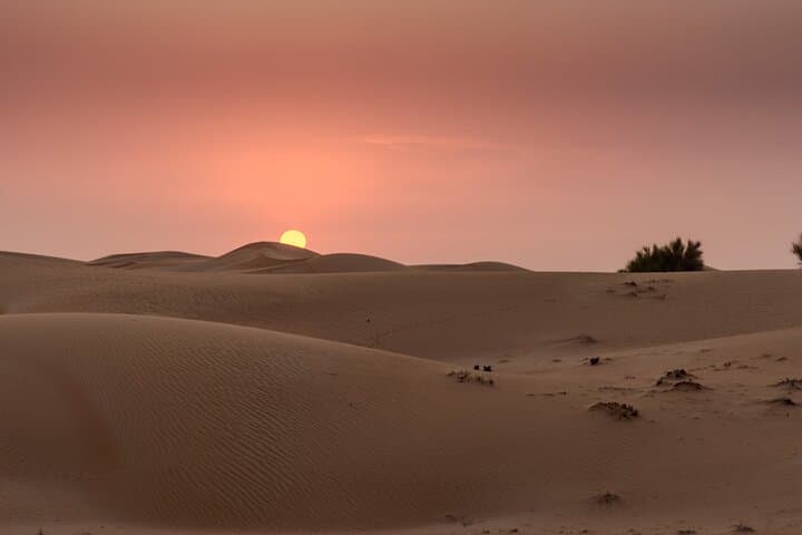 Dubai Desert Safari: Dune Bashing, Camel Rides & BBQ Bedouin Camp