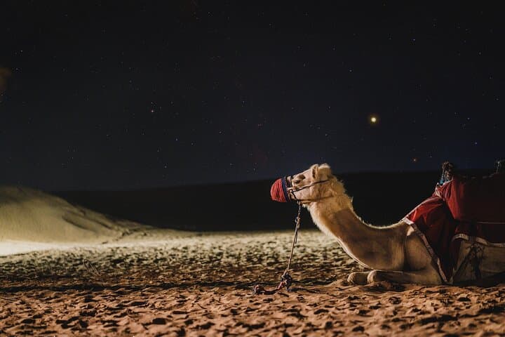 Dubai Desert Safari: Dune Bashing, Camel Rides & BBQ Bedouin Camp photo 5