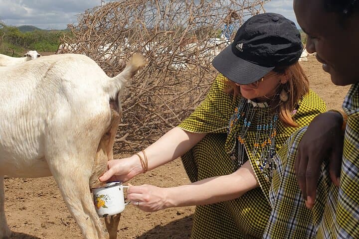 Maasai Boma Cultural Adventure from Arusha — Village Tour, Dance & Lunch photo 2