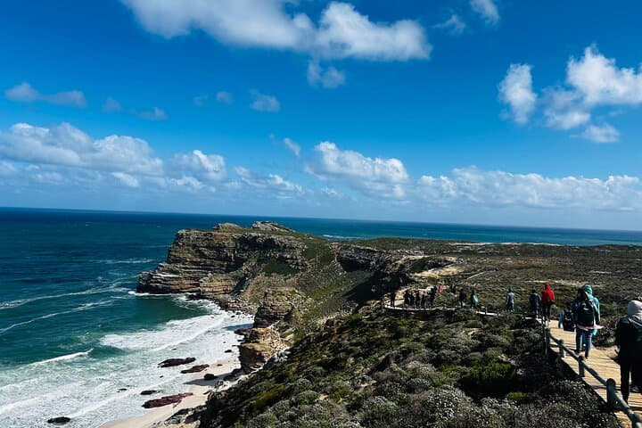Cape Point & Penguin Adventure: Full-Day Scenic Tour from Cape Town photo 6