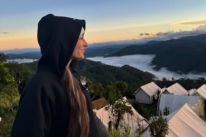 Cloud Hunting at Cau Dat: Da Lat Sunrise, Tea Hills & Strawberry Picking
