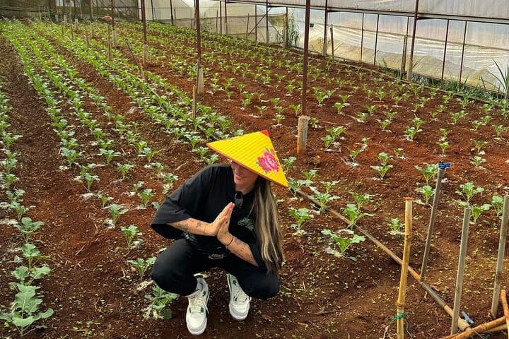 Cloud Hunting at Cau Dat: Da Lat Sunrise, Tea Hills & Strawberry Picking photo 2