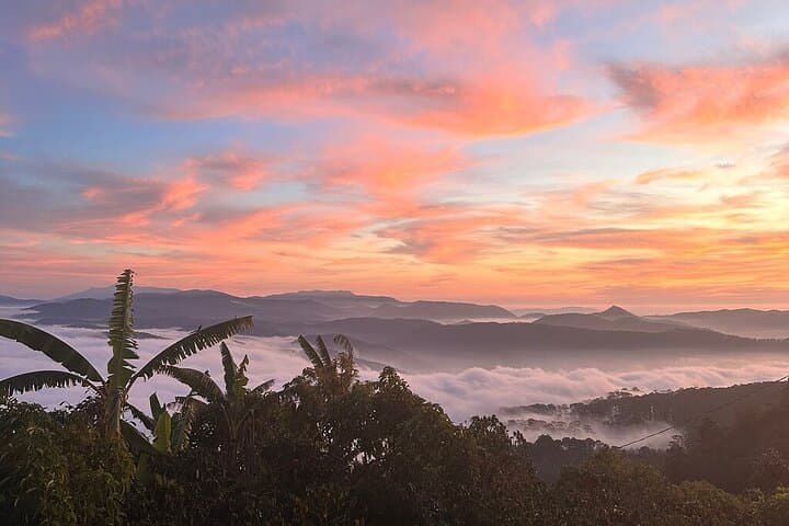 Cloud Hunting at Cau Dat: Da Lat Sunrise, Tea Hills & Strawberry Picking photo 6