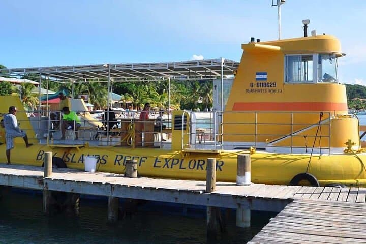 Roatán Glass-Bottom Boat & Wildlife Sanctuary with Chocolate and Rum Tasting photo 2