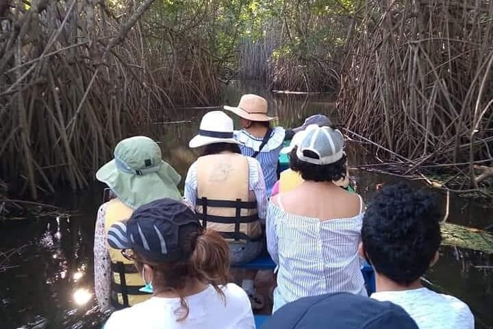 Glide Through Guatemala’s Chiquimulilla Mangroves on an Artisanal Boat Tour photo 2