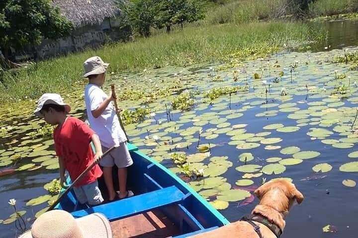 Glide Through Guatemala’s Chiquimulilla Mangroves on an Artisanal Boat Tour photo 3