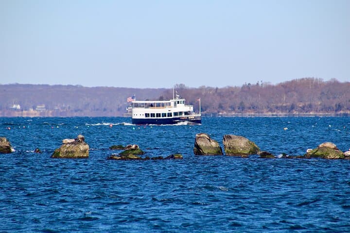 Wickford Seal-Watching Cruise — 75-Minute Harbor Tour to See Seals photo 2