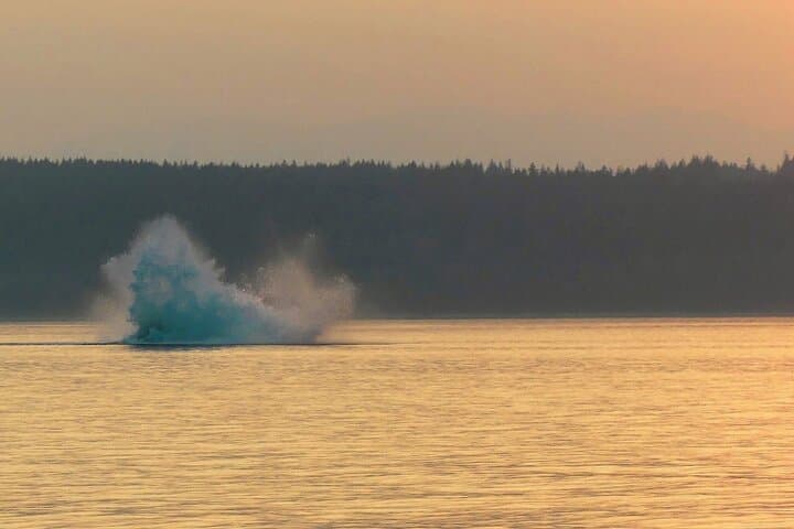 Sunset on the Salish Sea: Campbell River Evening Boat Tour photo 4