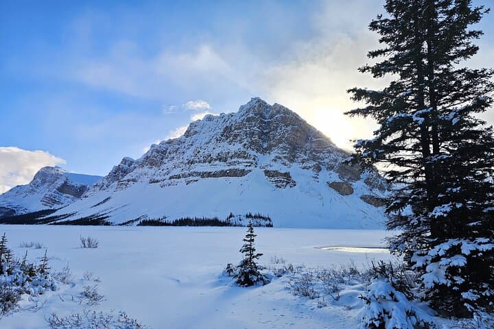 Banff Icefields Parkway Winter Tour: Lake Louise, Peyto & Johnston Canyon in One Day photo 3