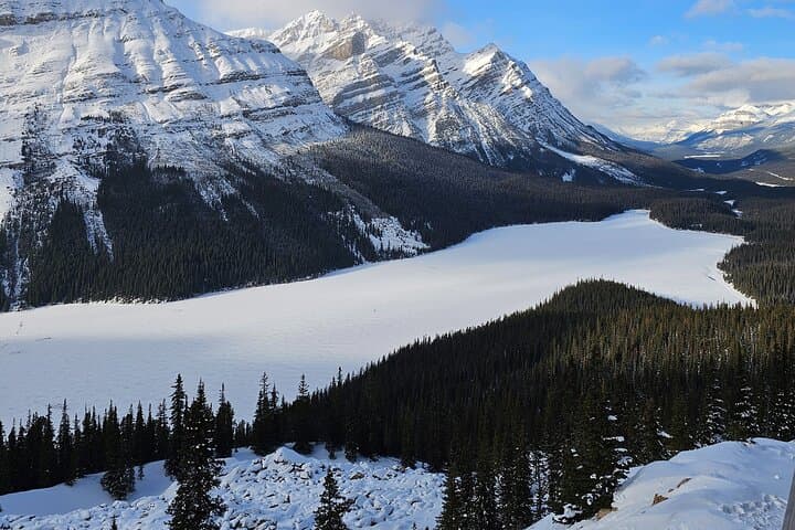 Banff Icefields Parkway Winter Tour: Lake Louise, Peyto & Johnston Canyon in One Day