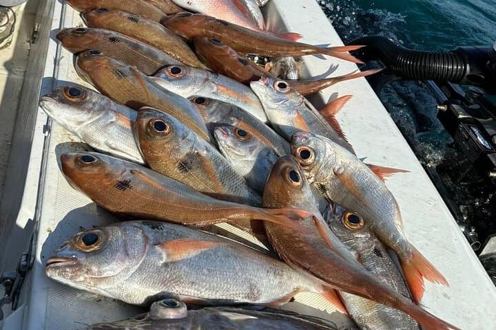 Syracuse Bolentino Fishing: Half-Day Sea Trip to Ortigia & Plemmirio photo 2