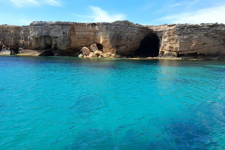 Explore Syracuse Coast and Spot Dolphins on a Captivating Boat Tour photo 4