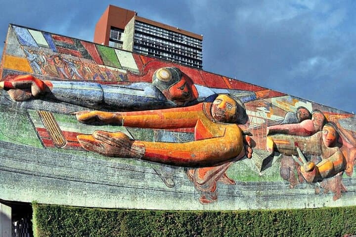 Xochimilco and Coyoacán Day Tour from Mexico City — Trajinera Ride, Frida Kahlo, and UNAM Murals photo 6