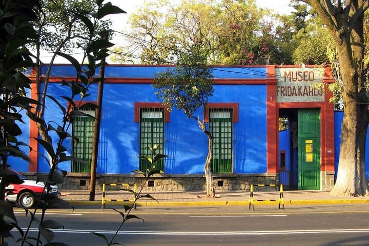 Xochimilco and Coyoacán Day Tour from Mexico City — Trajinera Ride, Frida Kahlo, and UNAM Murals photo 4