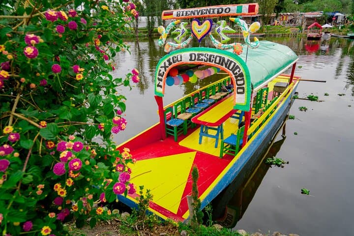 Xochimilco and Coyoacán Day Tour from Mexico City — Trajinera Ride, Frida Kahlo, and UNAM Murals photo 5