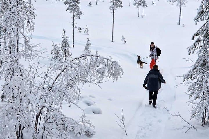 Snowshoe Husky Hike in Swedish Lapland — Dog-Guided Winter Trek & Kennel Fire photo 1