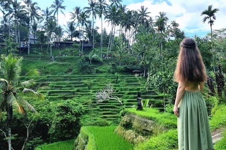 Ubud Day Loop: Tirta Empul Temple, Tegalalang Rice Terraces, Waterfall & Bali Swing photo 3