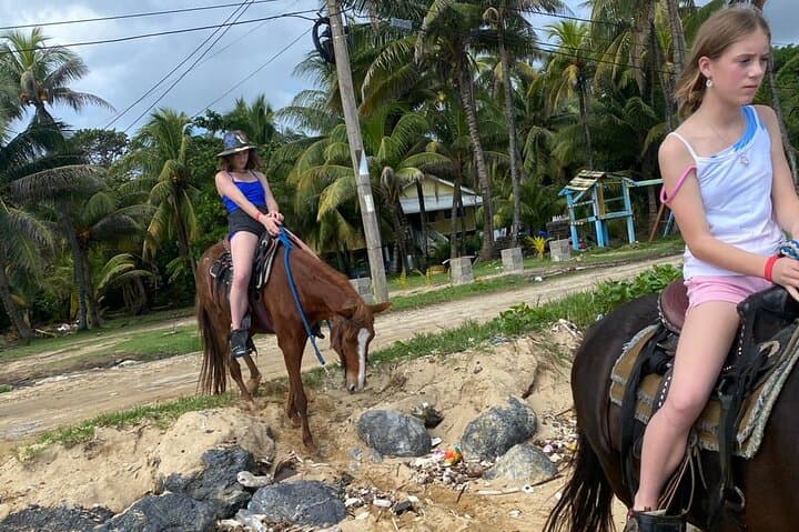Roatán Horseback Ride, Chocolate Tasting & West Bay Beach Break photo 5