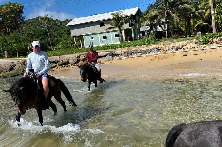 Roatán Horseback Ride, Chocolate Tasting & West Bay Beach Break photo 2