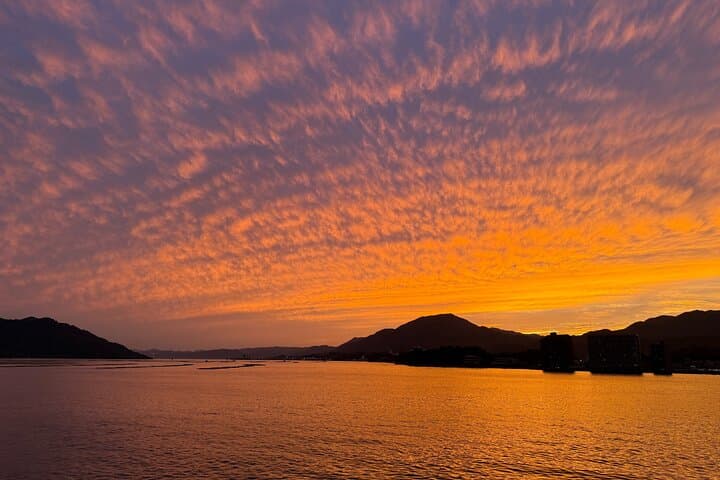Half-Day Miyajima Private Tour: Itsukushima Shrine, Floating Torii & Local Secrets photo 3