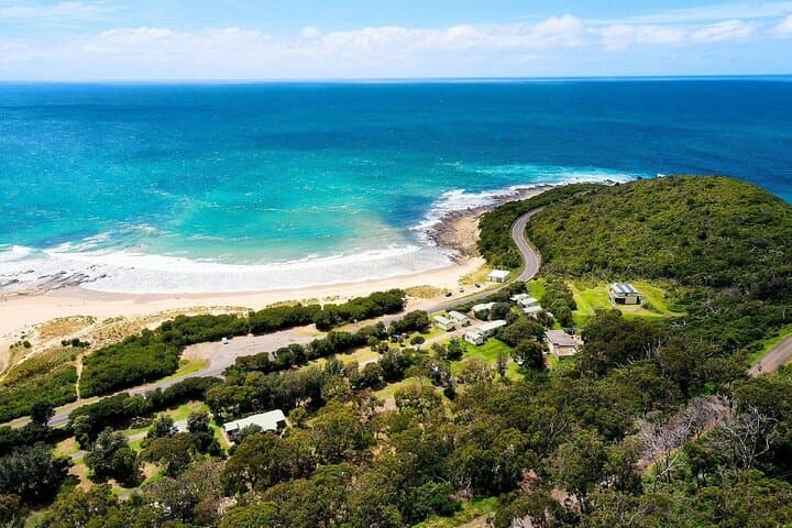 Great Ocean Road One-Day Tour: Twelve Apostles, Kennett River & Otways photo 3