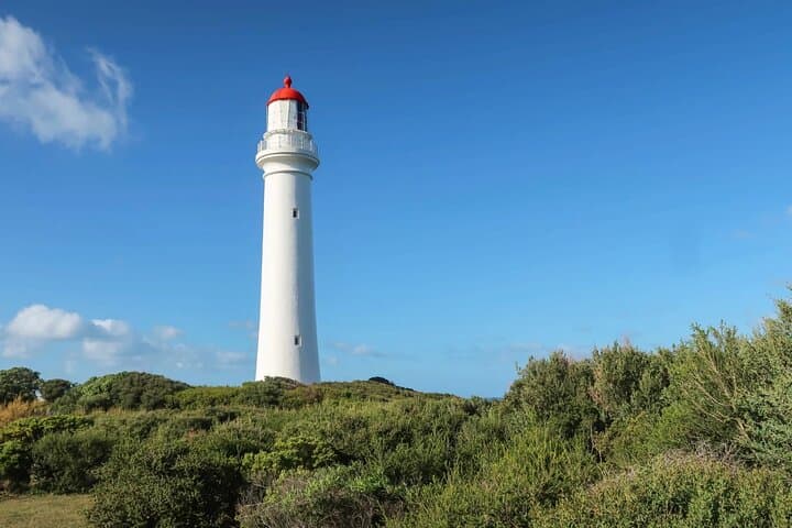Great Ocean Road One-Day Tour: Twelve Apostles, Kennett River & Otways photo 6