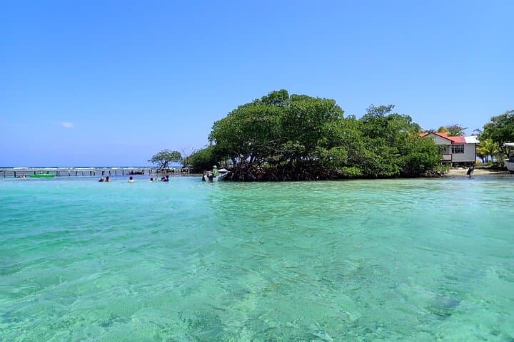 Roatán Mangrove Lagoon Kayak & Snorkel Adventure photo 6
