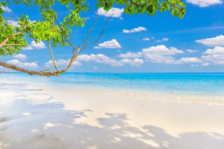 Similan Islands Premium Full-Day Speedboat & Snorkel Tour from Phuket photo 4
