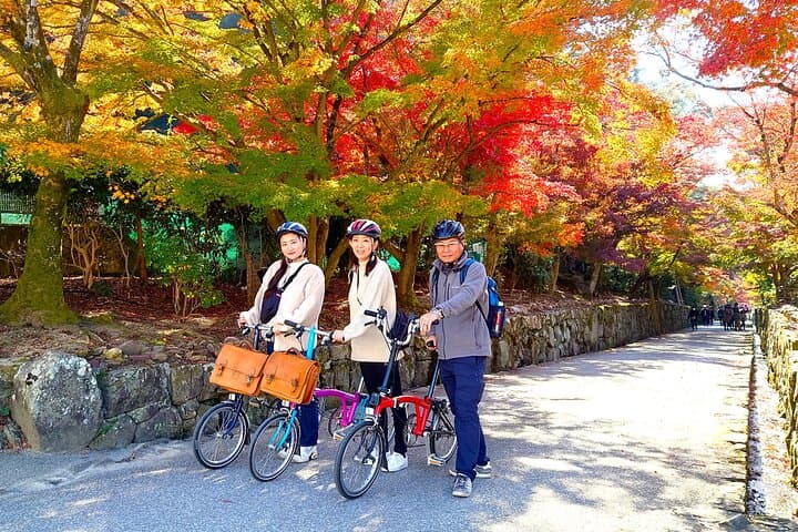 Slow Cycling Through Uji's Matcha Fields and Heritage